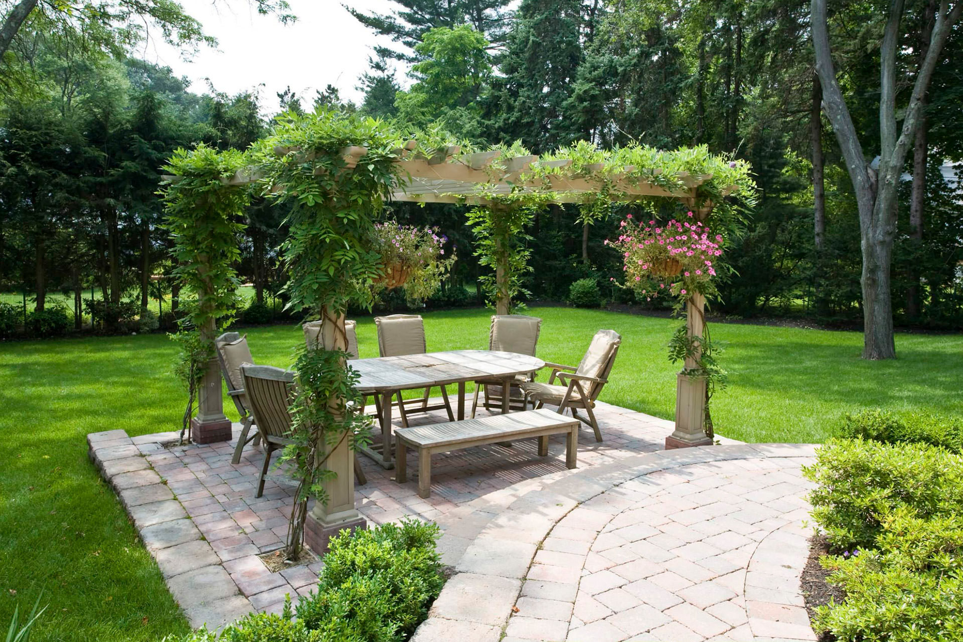 Pergola Plants Guide: Shade and Enhance Your Outdoor Space